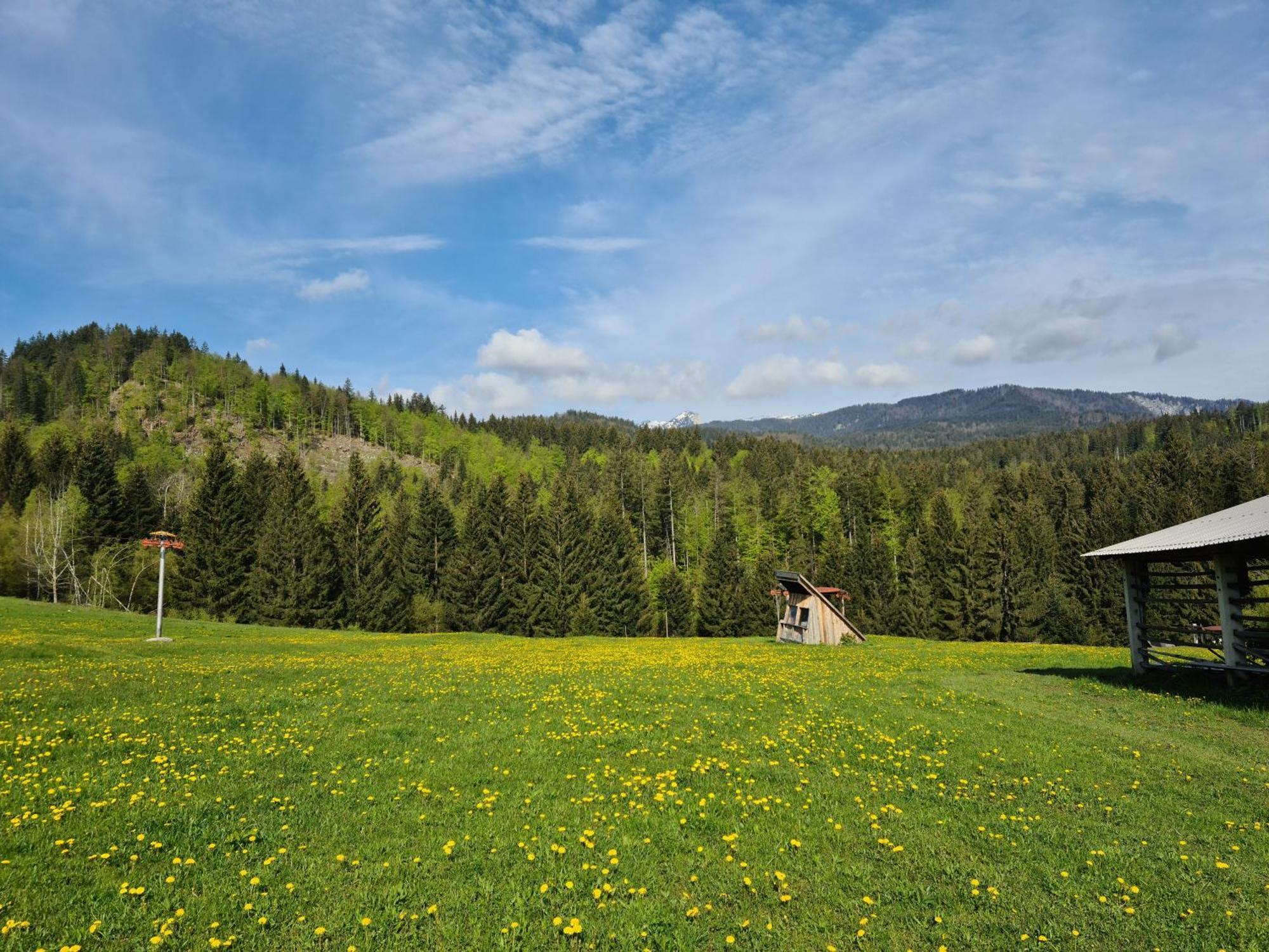 Apartments Anz'K Блед Екстериор снимка
